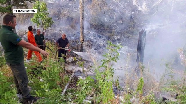 Zjarret, 15 vatra në vend. Krasta vihet nën kontroll - Top Channel Albania - News - Lajme