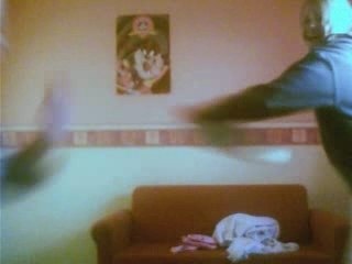 bataille de coussin delirante