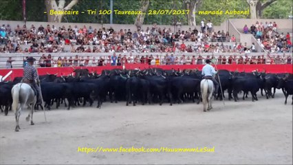 Beaucaire-Tri 100 taureaux...-28-07-2017-Aubanel