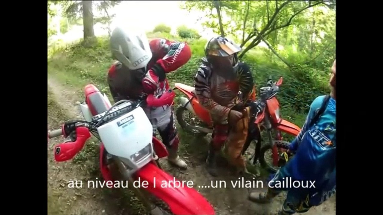 le Gaulois 29jul2017