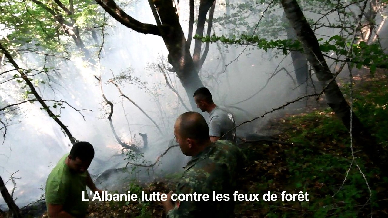 L'Albanie lutte contre les feux de forêt