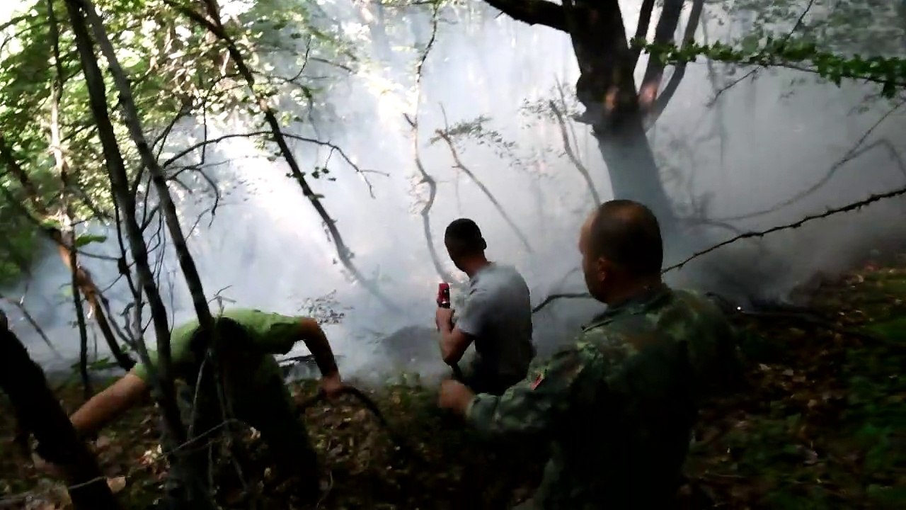 L'Albanie lutte contre les feux de forêt