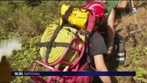 Corse-du-Sud : 170 hectares de pinède partis en fumée à Palneca