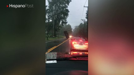 En EEUU hubo un accidente de tránsito digno de una película de acción