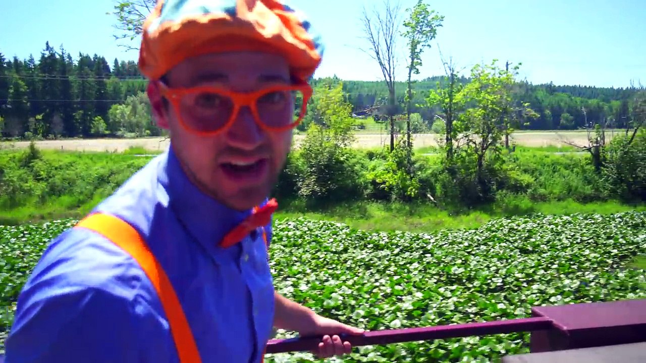Trains for Children with Blippi | Steam Train Tour