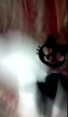 Çok  komiki  bir vidiyo