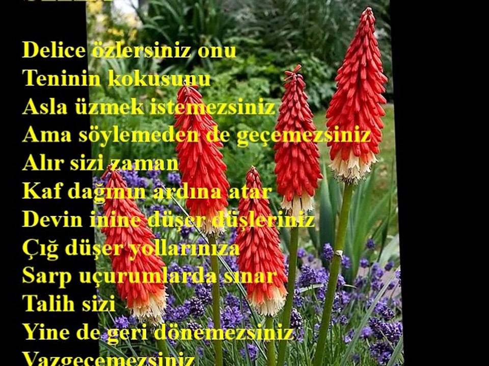 ÖZLEM- Dagbey Şiirleri (Ali Dogan)