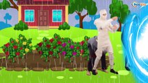 Fun Superheroes Stole a Golden Hand Finger Family and Nursery Rhymes for kids
