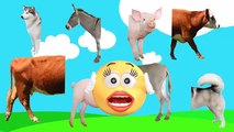 Learn Farm Animals Wrong Heads Body Funny Video for Kids Old MacDonald had a Nursery Rhymes Song