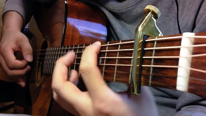 世界に一つだけの花 / SMAP ソロギター