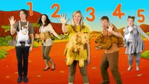 Australian Animals Finger Family Song  Finger Family Nursery Rhymes