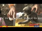 Belgaum: Baby Monkey Cries For Mother Who Died In Road Accident