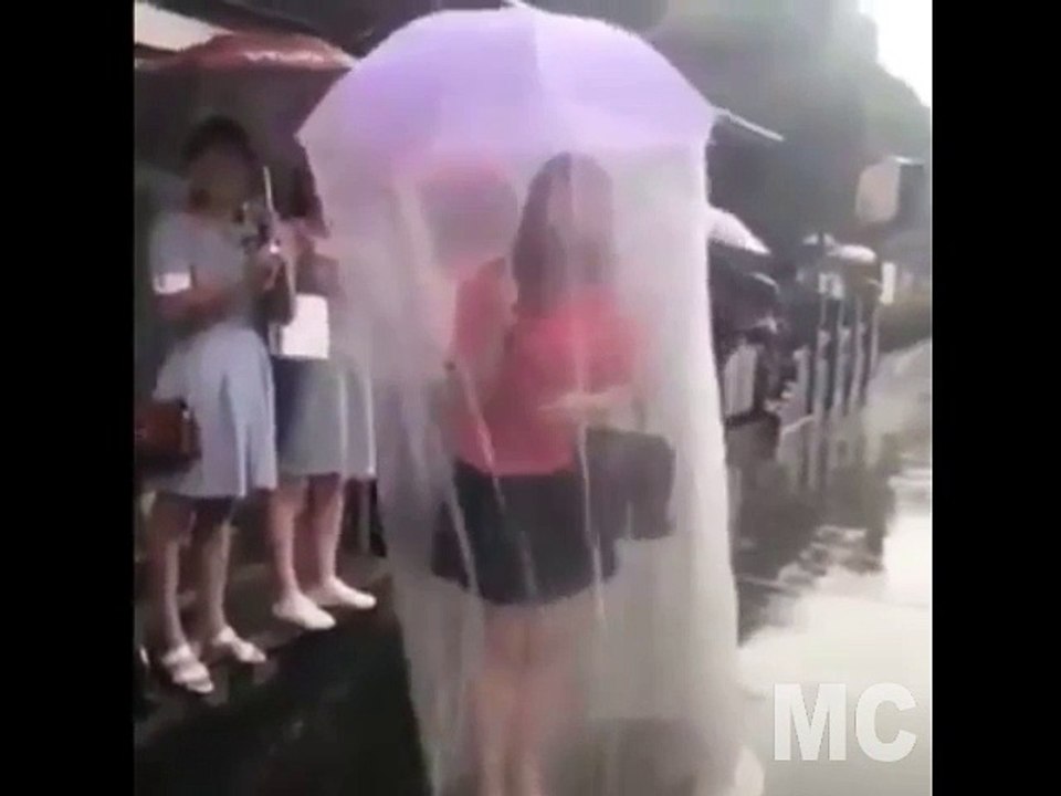 Funny Umbrella