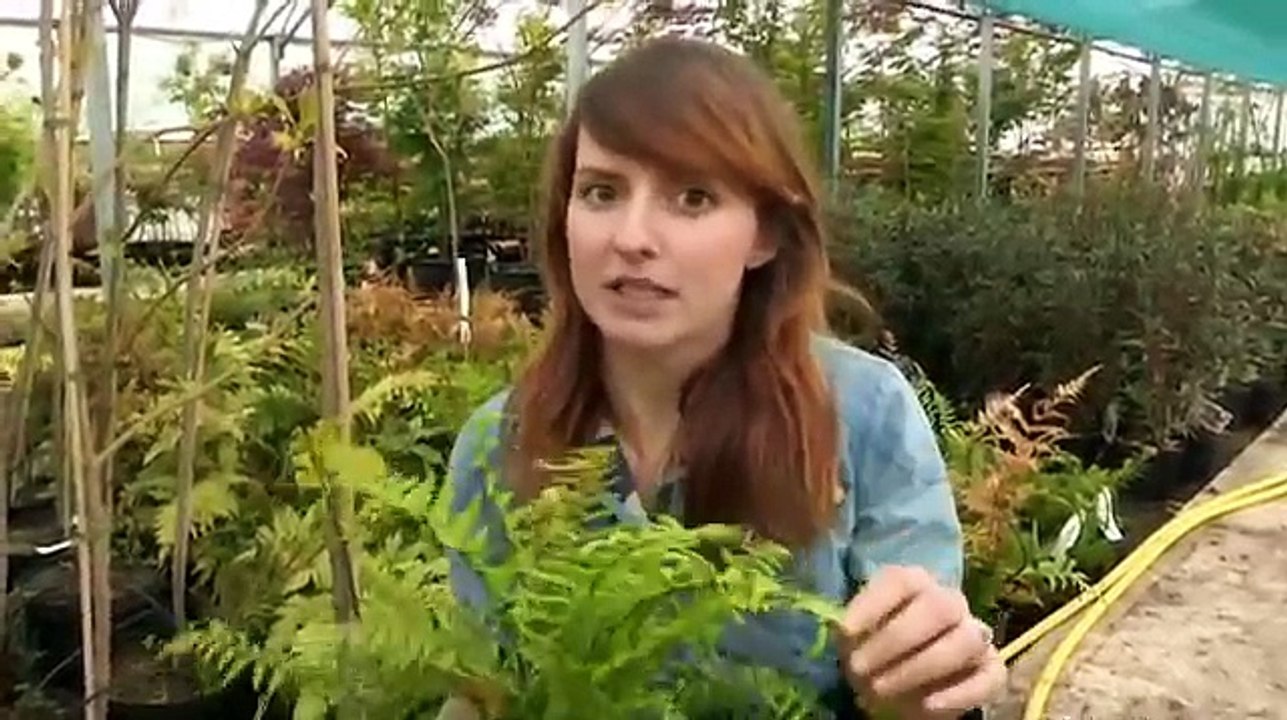 love your garden Season 2 Episode 1/6 (June 26, 2012)