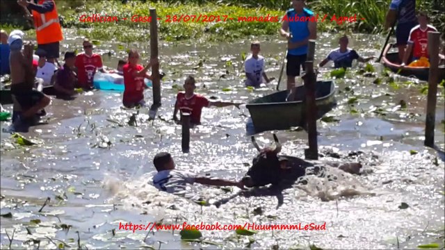 Gallician-Gases-3 toros échappés-28/07/2017-Aubanel-Agnel