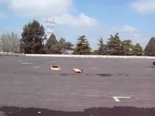 malo ollie le pellerin