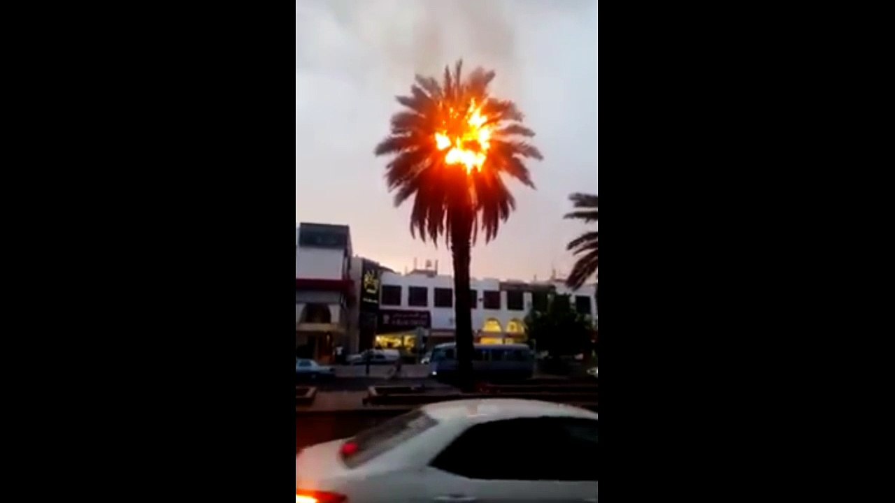 Untitled 6 1280x720 3.78Mbps 2017-08-02 11-56-18