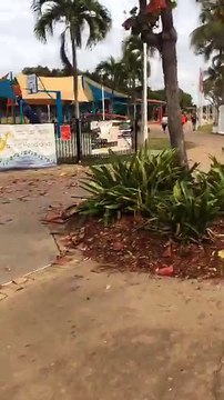 Enjoy Morning walk an easy stroll along an Australian beach while basking in pastel light from the sunrise - Queensland