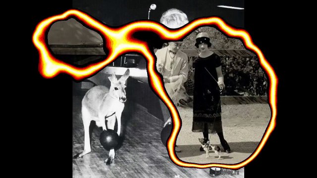 Ретро фото животных