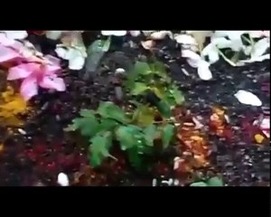 Top 10 Biggest Real Miracles caught live on tape in the world.