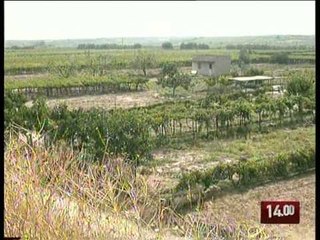 TG 18.08.09 Funzionari regionali in manette a Barletta