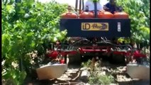 Primitive Technology vs World Amazing Modern Agriculture Progress Mega Machines Farming Equipment - dailymotion