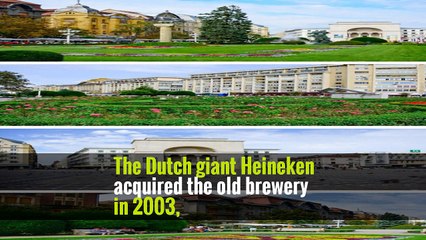 Small Transylvania Brewer Stood Up to a Beer Giant, and Survived