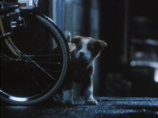 [懐かCM] サントリー トリス 「雨と子犬篇」 (1981)