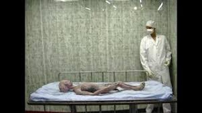 Top 10 Real Aliens Caught on Camera Aliens You Won't Believe Actually Exist