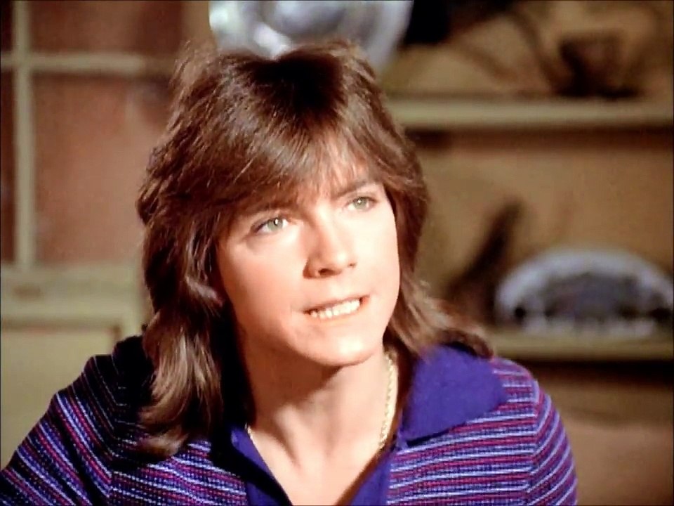 Keith Paranoid Partridge Family