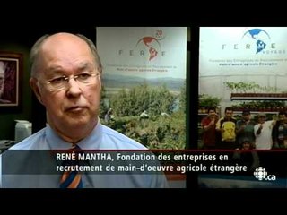 Téléjournal - La syndicalisation des travailleurs agricoles étrangers