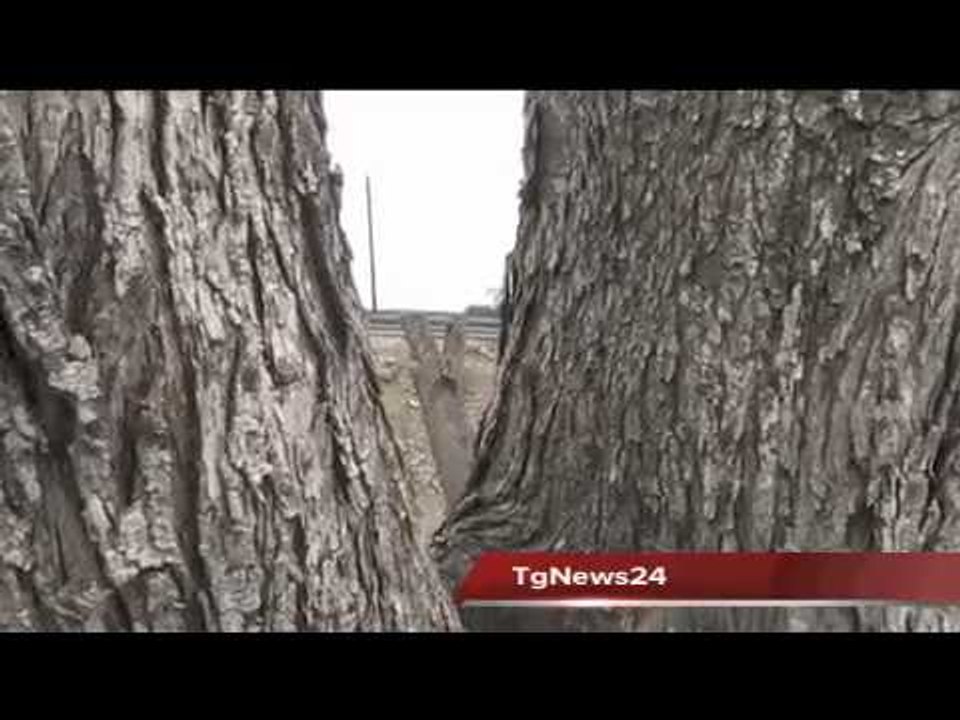 Tg 12 Marzo: Leccenews24 politica, cronaca, sport, l'informazione 24 ore.