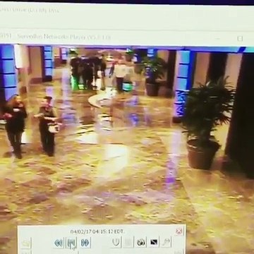 Ivre, il se jette sur arbre dans un pot