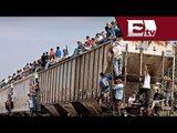 Migrantes, víctimas de asaltos en el tren 