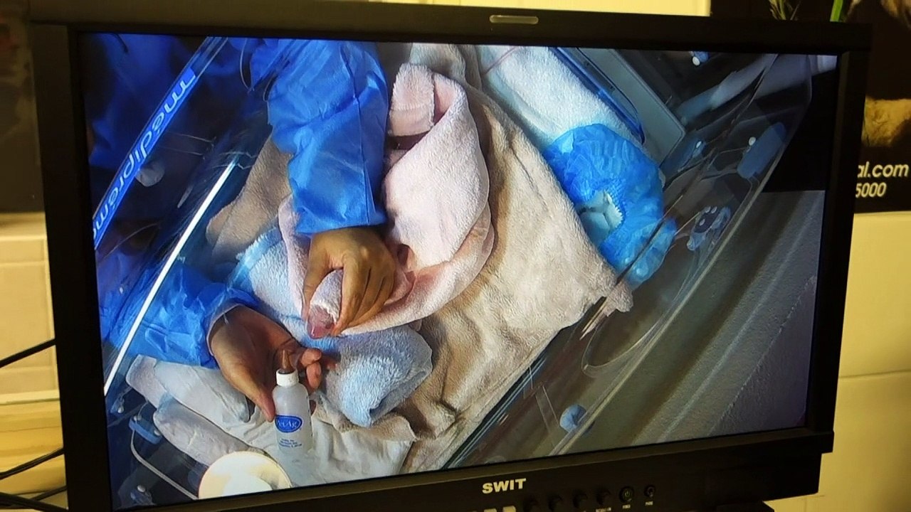 Huan Huan ist jetzt Mutter - aber nur von einem Panda-Baby