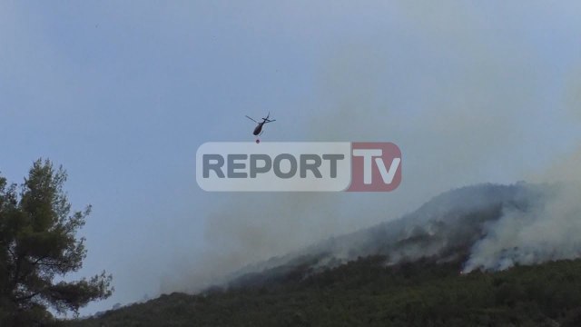 Report TV - Zjarreve, EC: Gjatë 24 orëve janë shënuar 15 vatra zjarri në vend