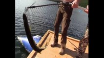 Rusya Devlet Başkanı Putin balık avında