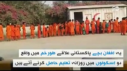 Afghan kids come over to Pakistani side daily to get education