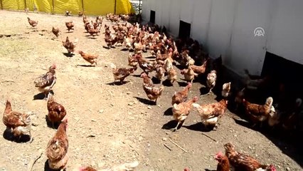 Devlet Desteği Genç Çiftçilere "Umut" Oldu