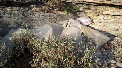 Gjenden thasë me kanabis, procedohet kryeplaku i fshatit