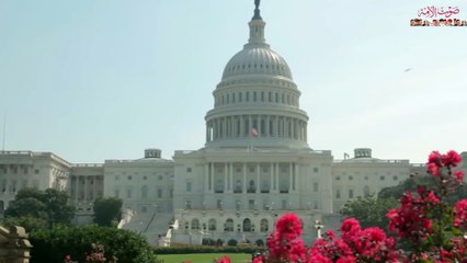 قطر.. اشترت الإرهاب قيمة التمويلات القطرية للتنظيمات المتطرفة