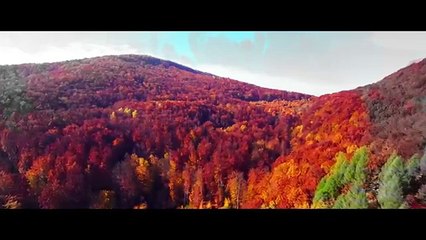 Pintor do Mundo - Pr. Lucas - COM LETRA (VideoLETRA oficial MK Music)