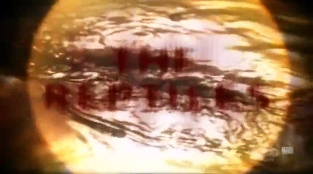 The Reptiles, Part 4of4 Lizards