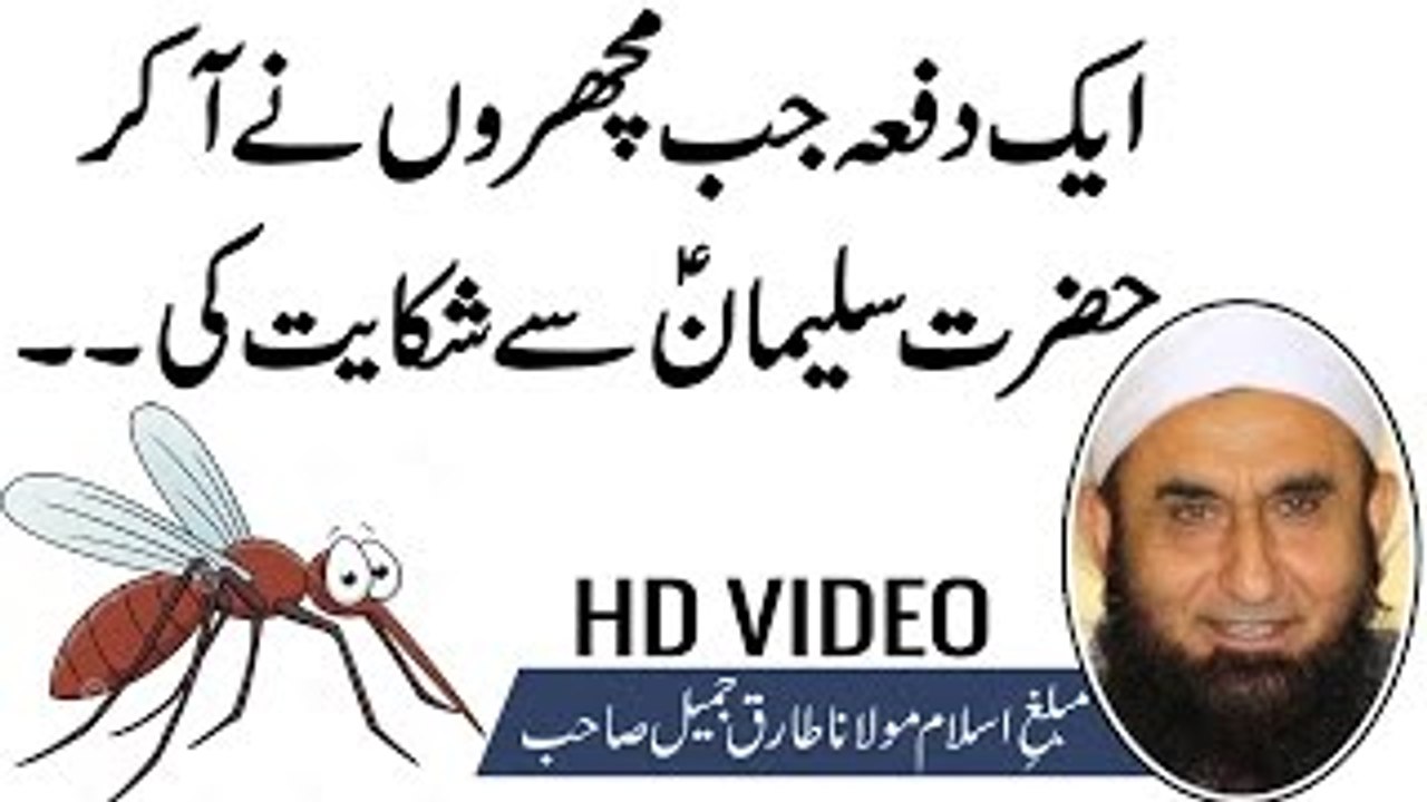 Maulana Tariq Jameel 2017 - Islamic Bayan - Urdu Bayan - Solomon [Sulaiman] AS & Mosquito (Machhar)