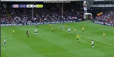 Martin  Own  Goal   HD  Fulham 1 - 0	 Norwich 05-08-2017