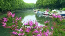 Dans le canal de la Garonne,le combat contre une plante invasive