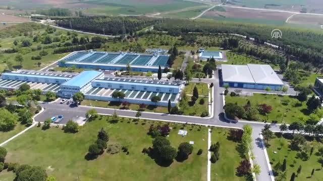 İbb, Türkiye'nin İlk Yüzer Güneş Enerji Santralini Kurdu