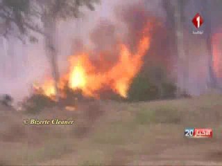 Le gouvernement en visite au zones ravagées par les incendies