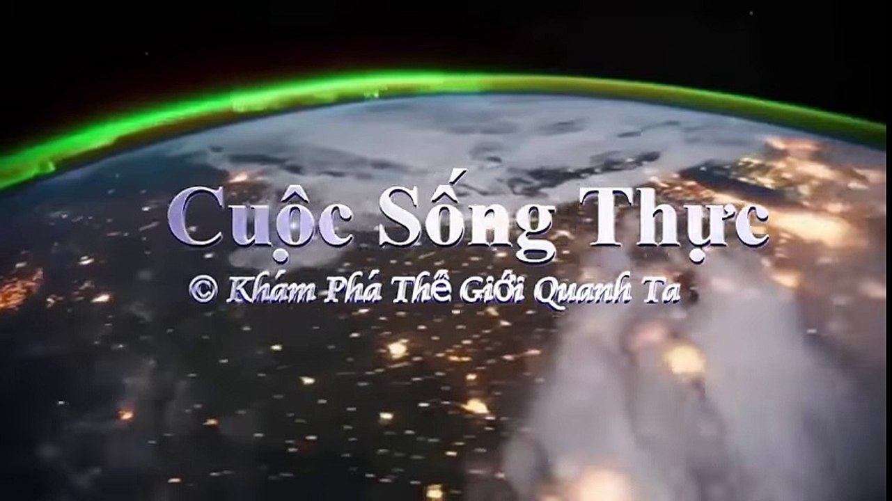 5 Khoảnh Khắc Sai Lầm Hài Hước Nhất Trong Phim Hành Động - YouTube