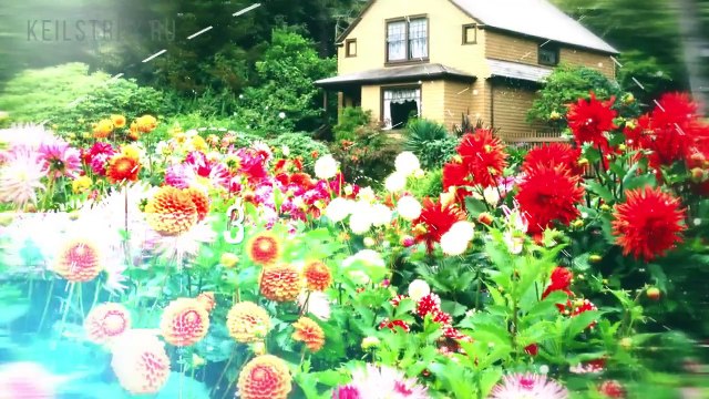 Заказать каркасный дом. Строительство заборов на дачном участке или вокруг загородного дома.